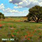 brazos river valley