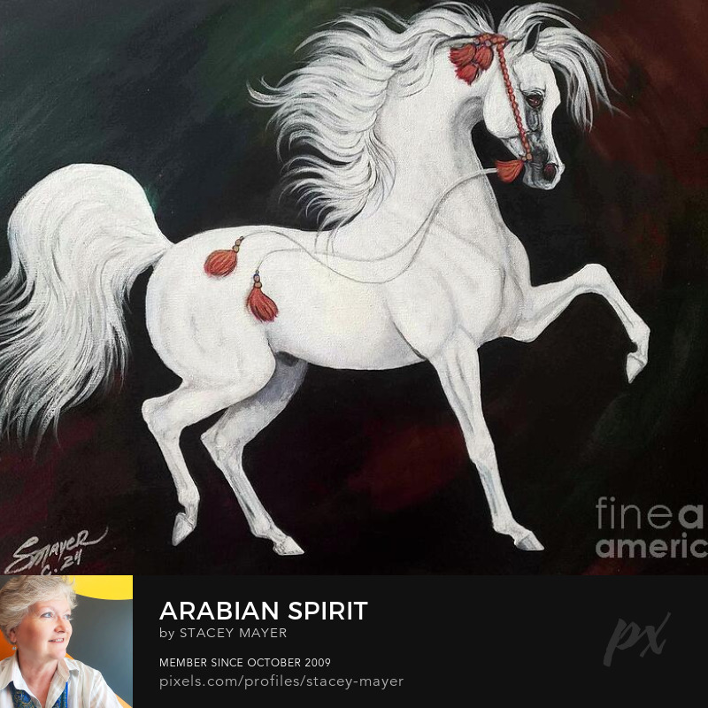 Arabian Spirit - Acrylic Painting on Canvas SSMayer 2025