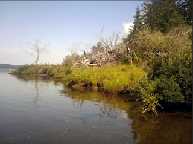 Ozette Lake, Clallam County, WA