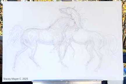 Quick-draw Arabian Horse Drawing by Stacey Mayer C. 2025