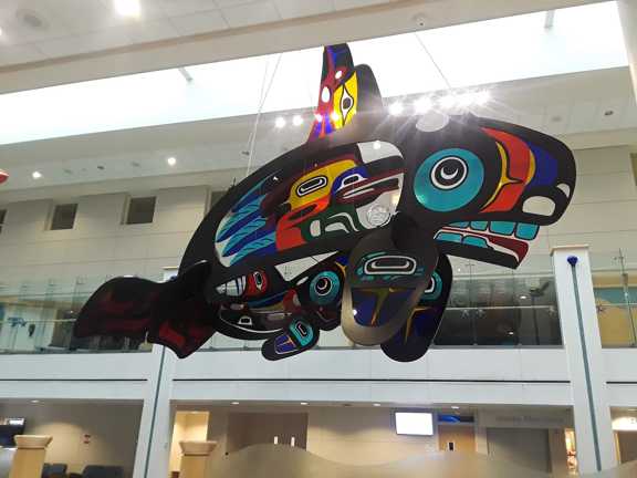 6Seattle Childrens Hospital Orca